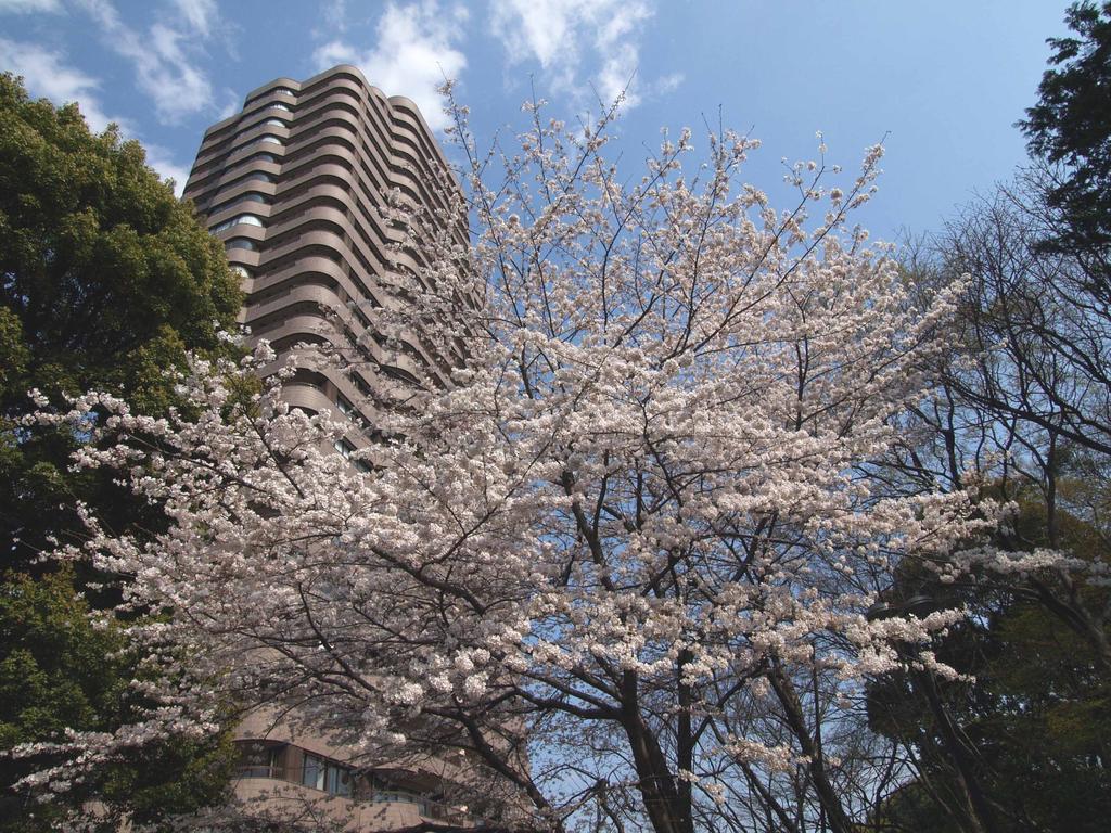Tokyo Marriott Hotel Eksteriør billede